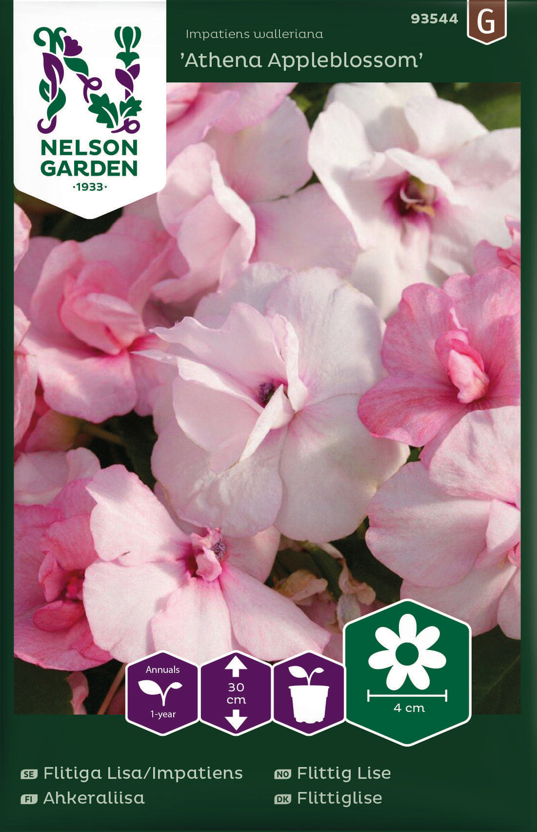 Flitiga Lisa/Impatiens Athena Appleblossom F1