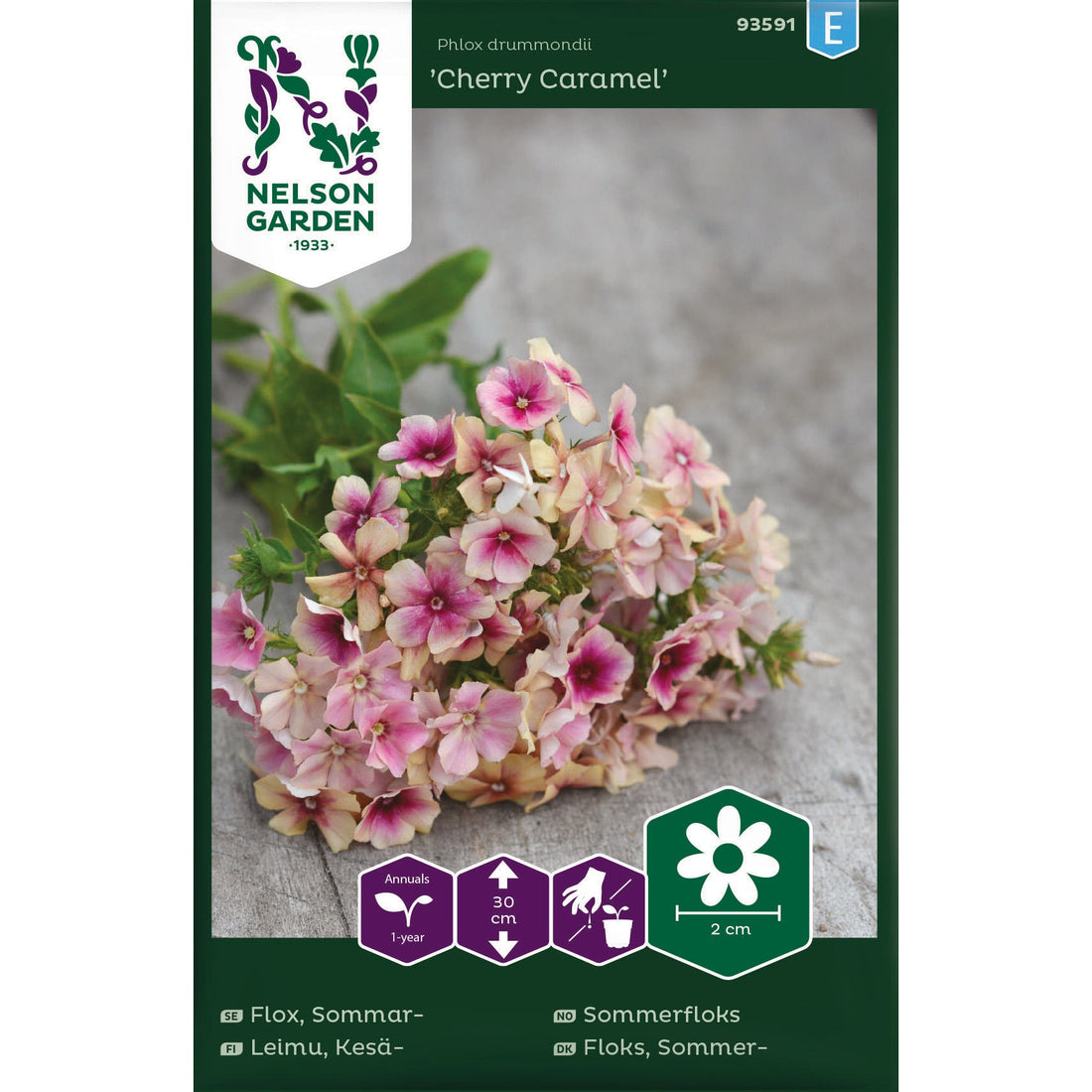 Flox Sommar- Cherry Caramel