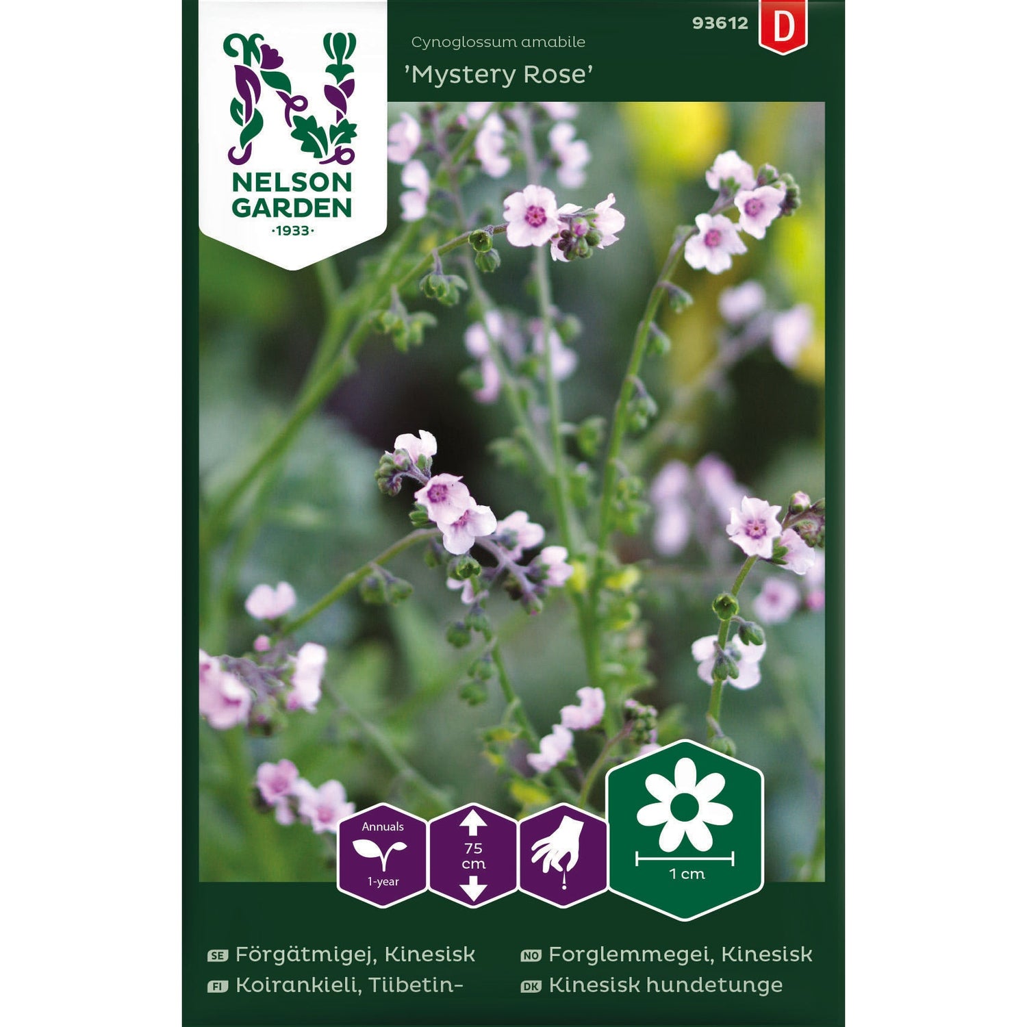 Förgätmigej Kinesisk Mystery Rose