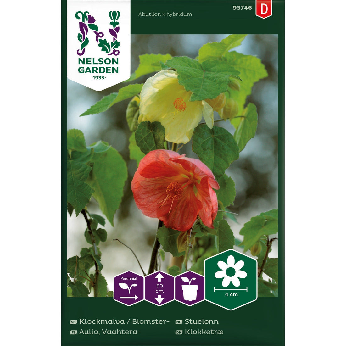 Klockmalva / Blomsterlönn bl färger