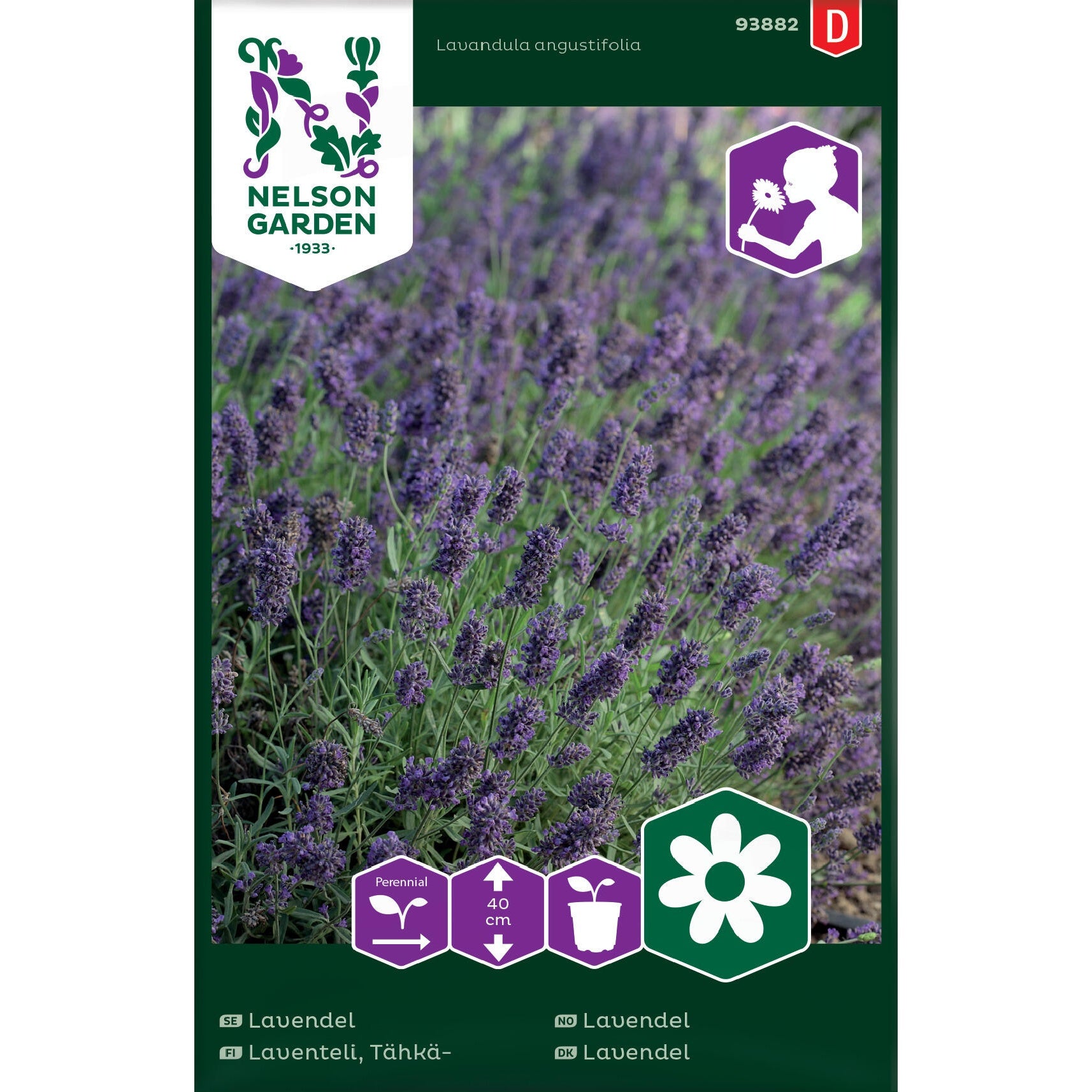 Lavendel