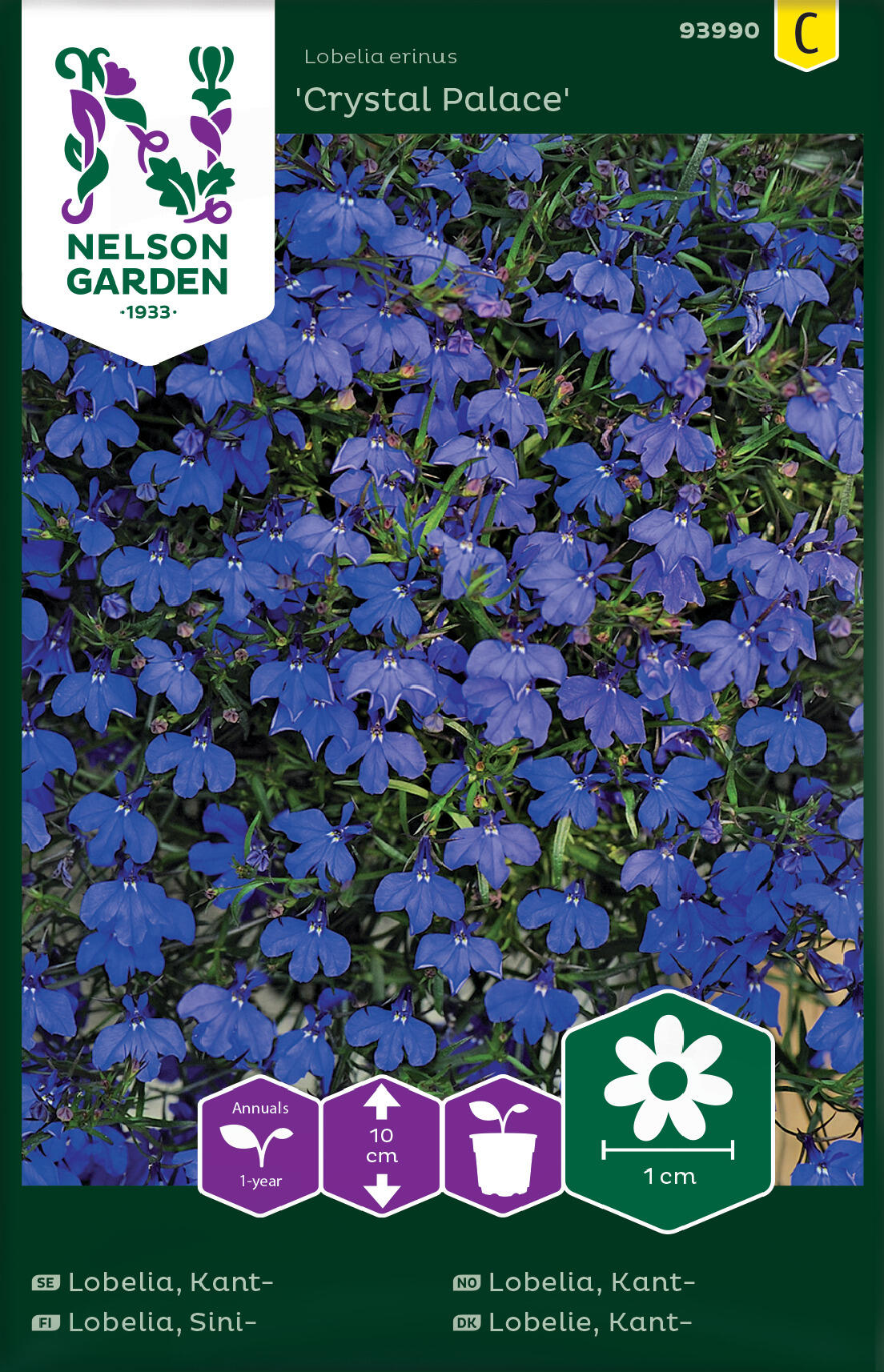 Lobelia Kant- Crystal Palace