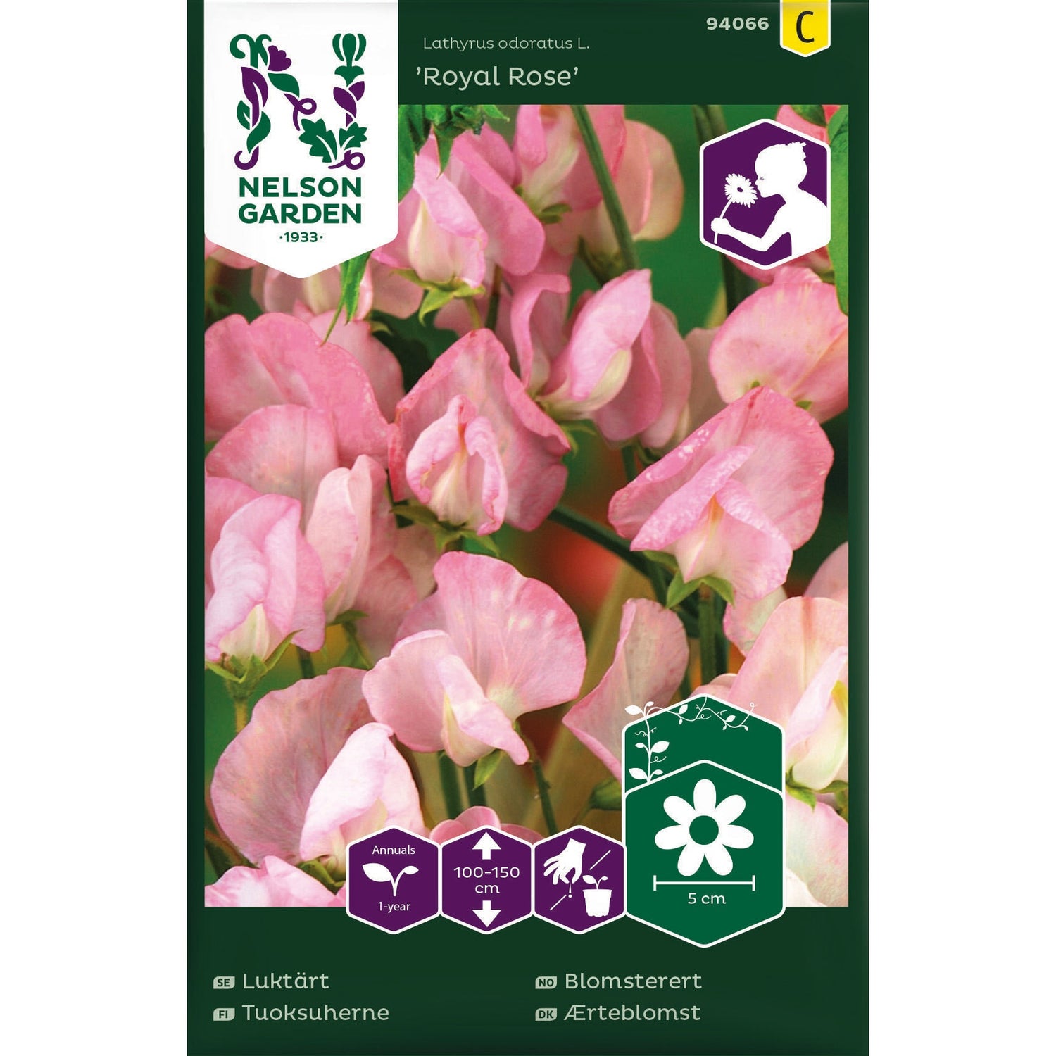 Luktärt, Royal Rose, rosa
