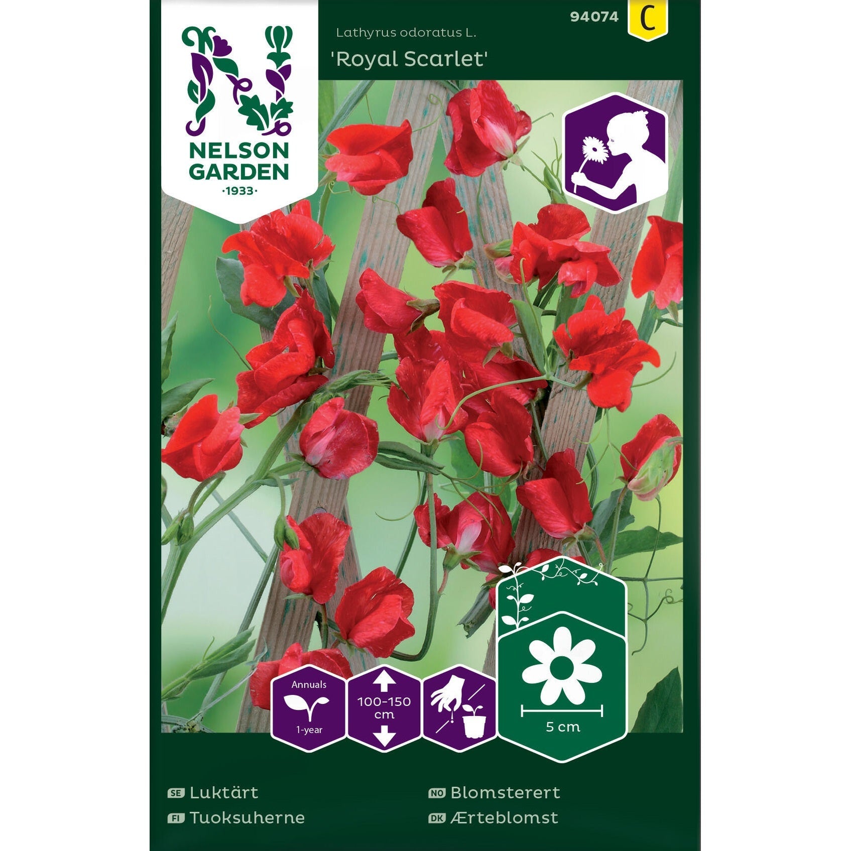 Luktärt, Royal Scarlet, röd