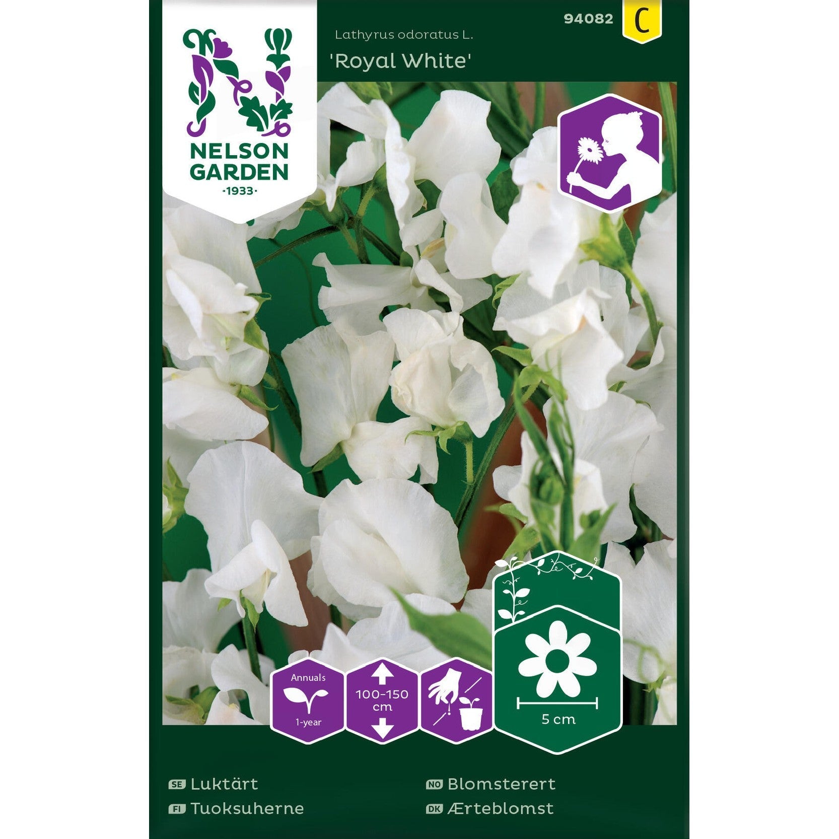 Luktärt, Royal White, vit
