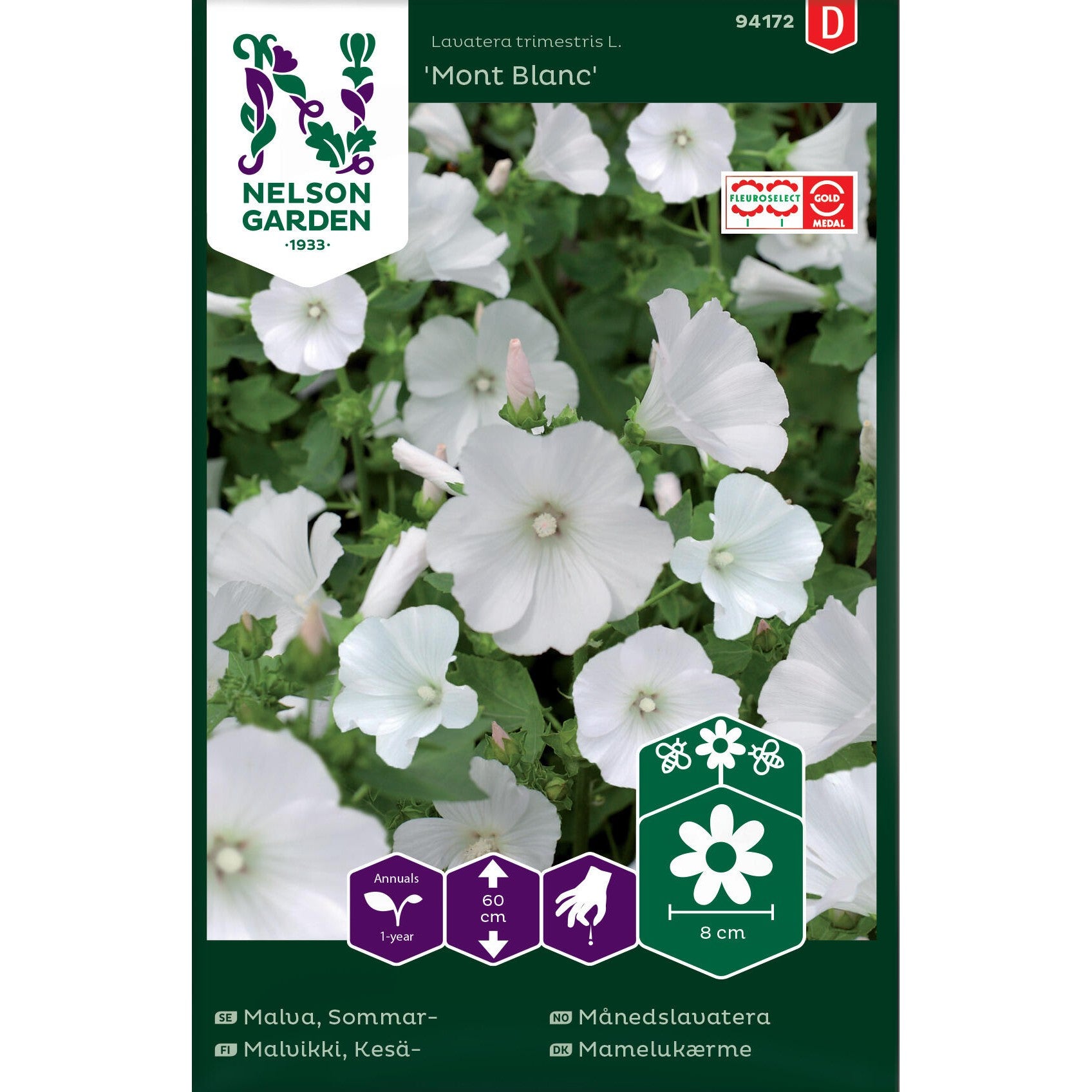 Malva Sommar- Mont Blanc vit