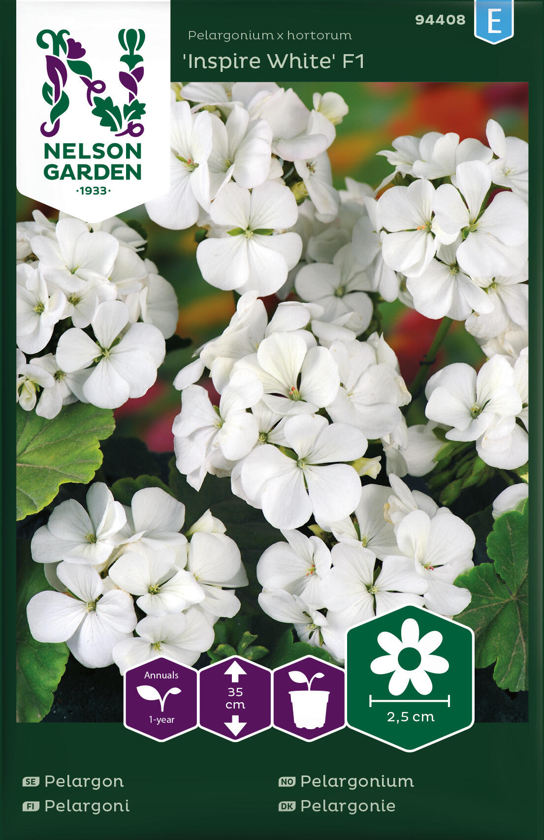 Pelargon Inspire White F1 vit