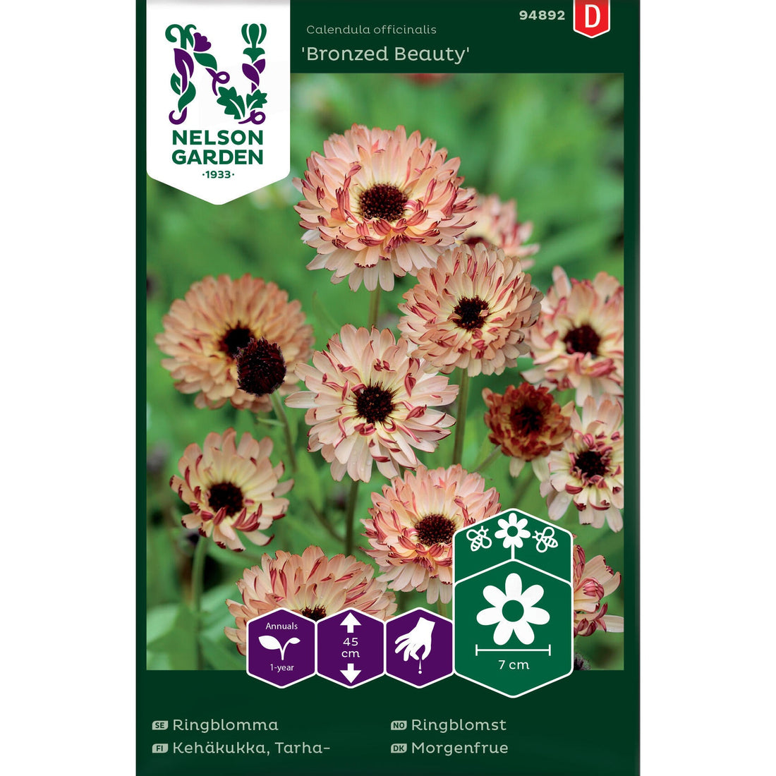 Ringblomma Bronzed Beauty