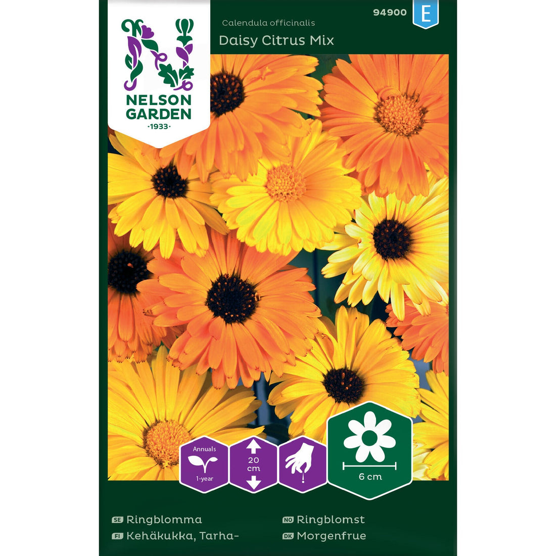 Ringblomma Daisy Citrus Mix låg