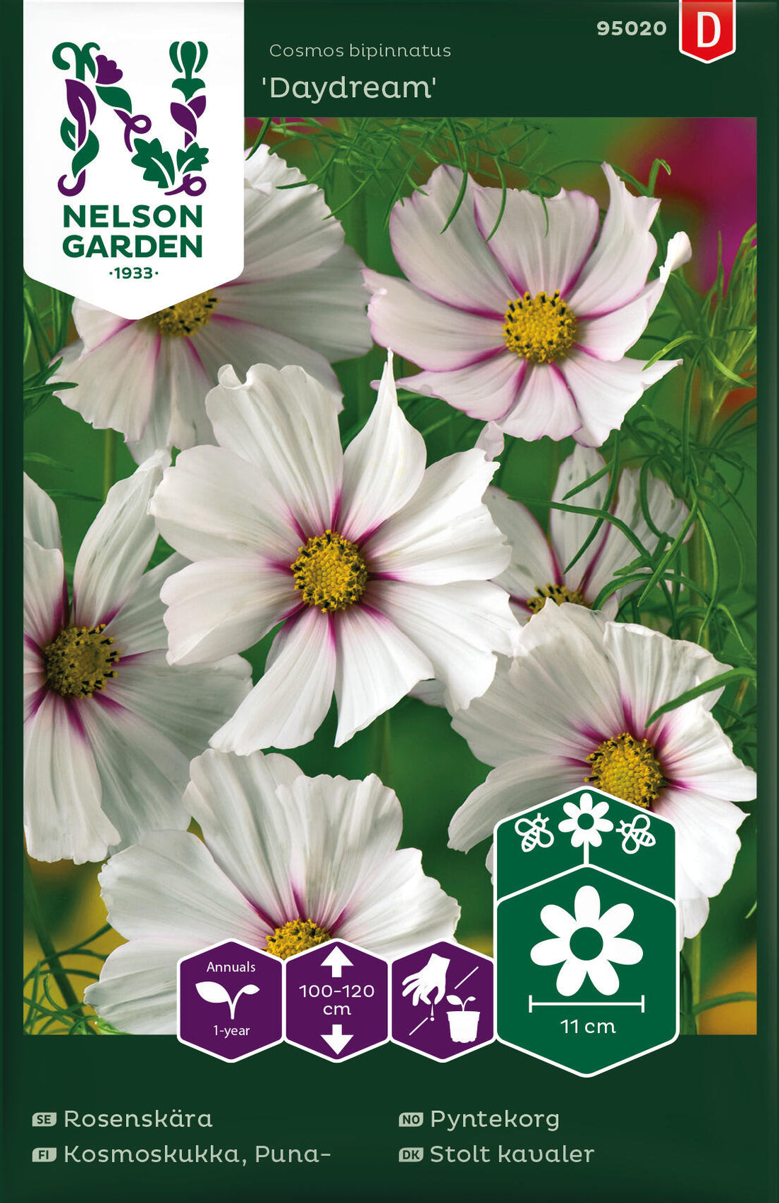 Rosenskära Daydream