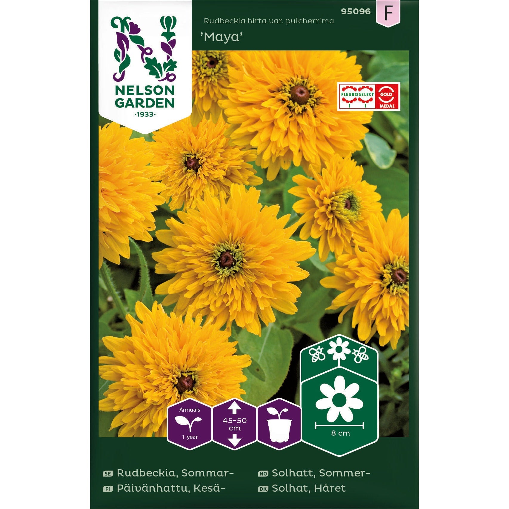 Rudbeckia Sommar- Maya