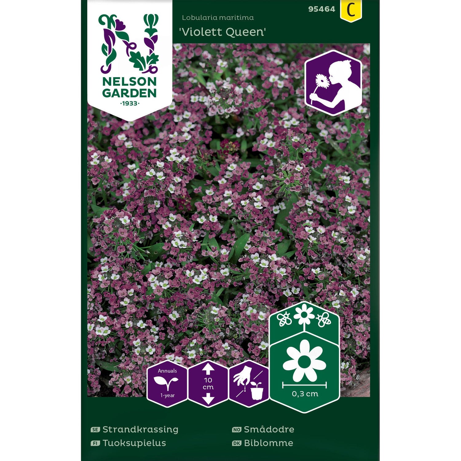 Strandkrassing Violett Queen