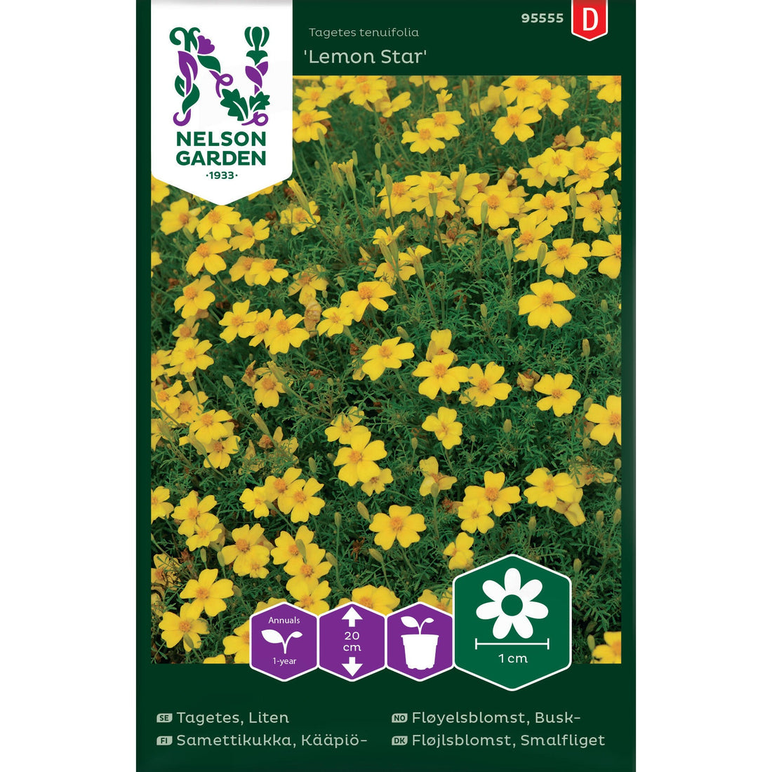 Tagetes Liten Lemon Star
