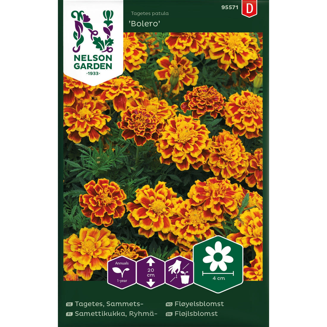 Tagetes Sammets- Bolero