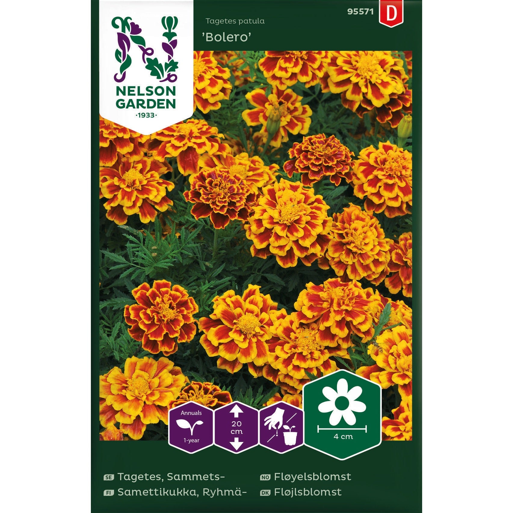 Tagetes Sammets- Bolero
