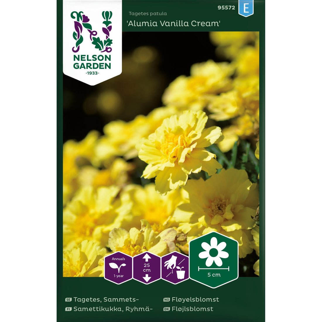 Tagetes Sammets- &