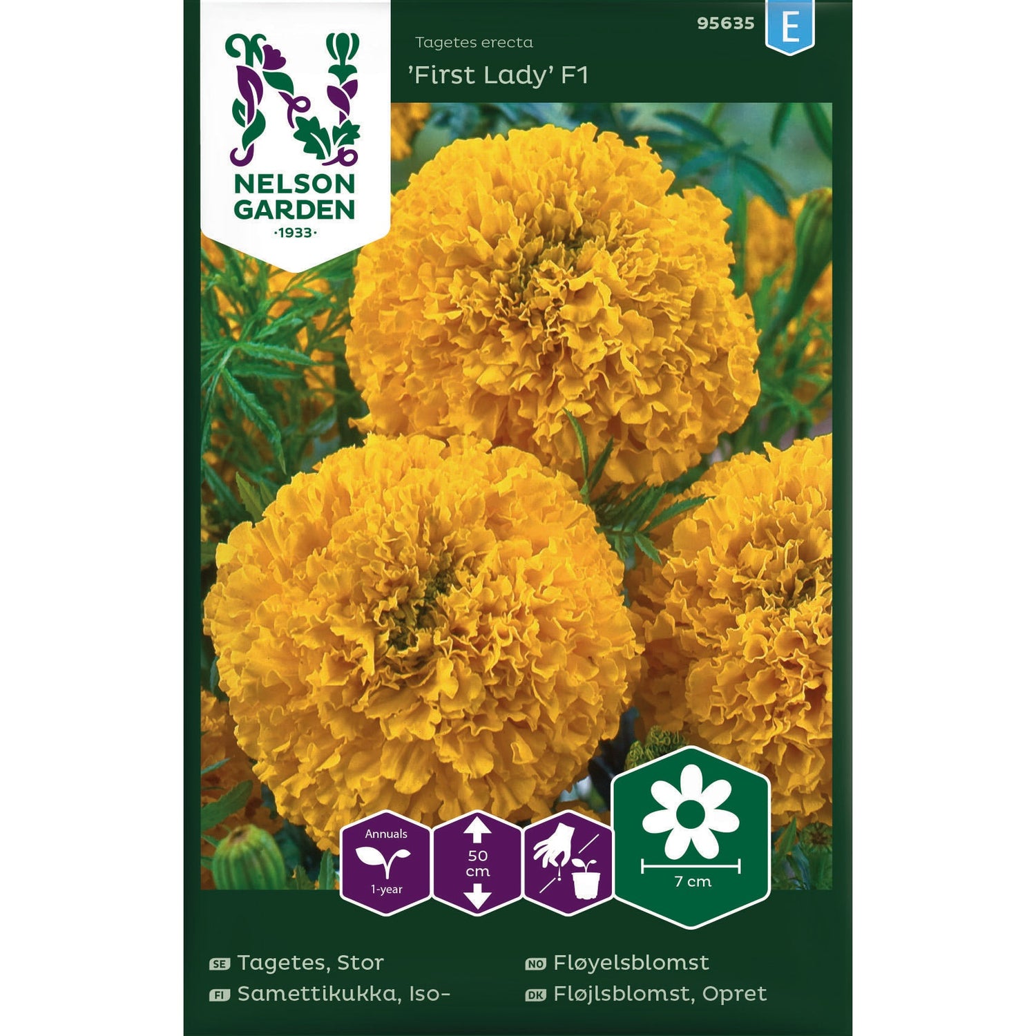 Stor tagetes First Lady F1