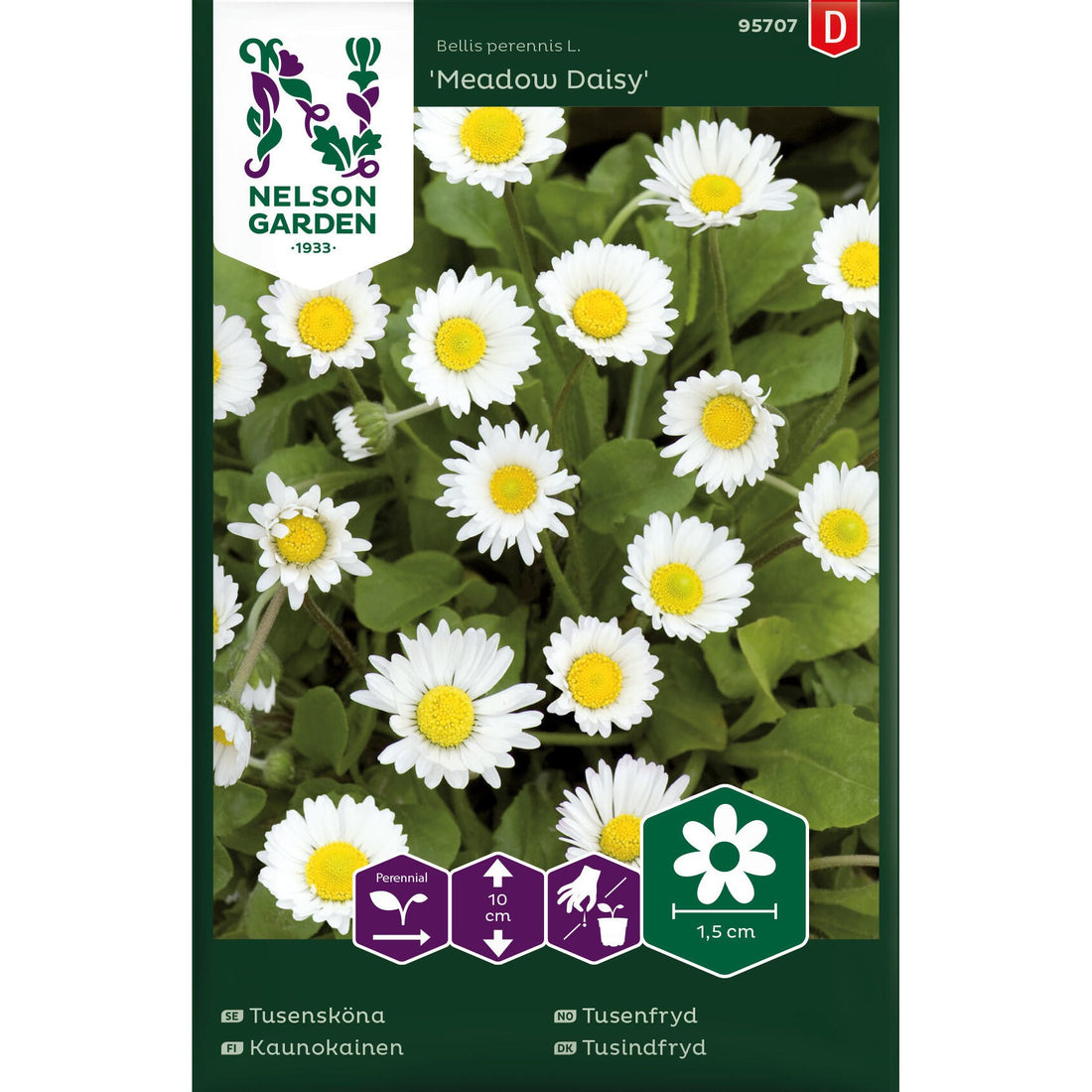 Tusensköna Meadow Daisy vildform vit