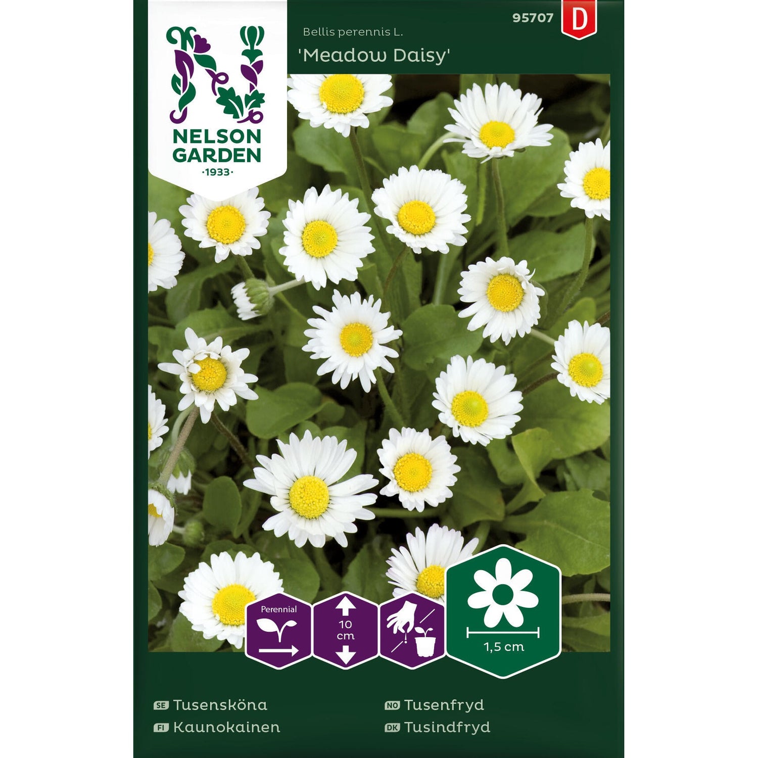 Tusensköna Meadow Daisy vildform vit