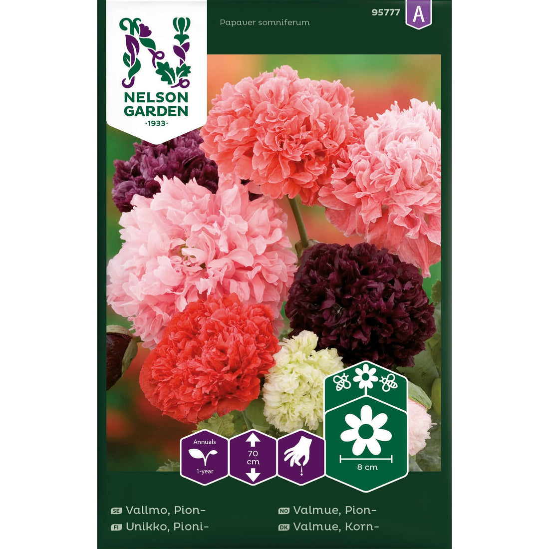 Vallmo Pion- bl färger