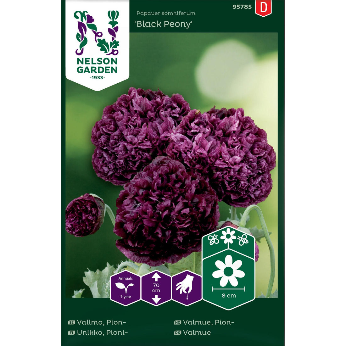 Pionvallmo Black Peony