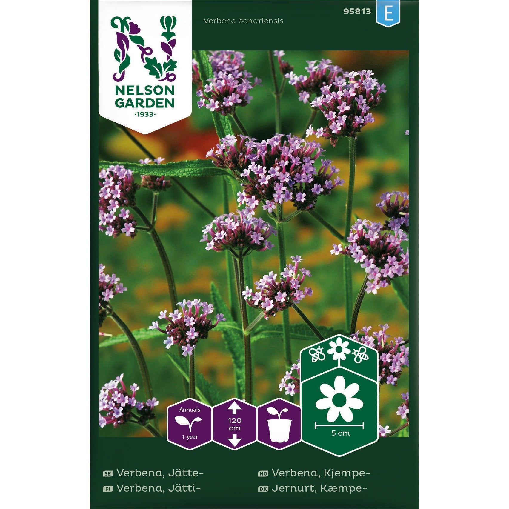 Verbena Jätte