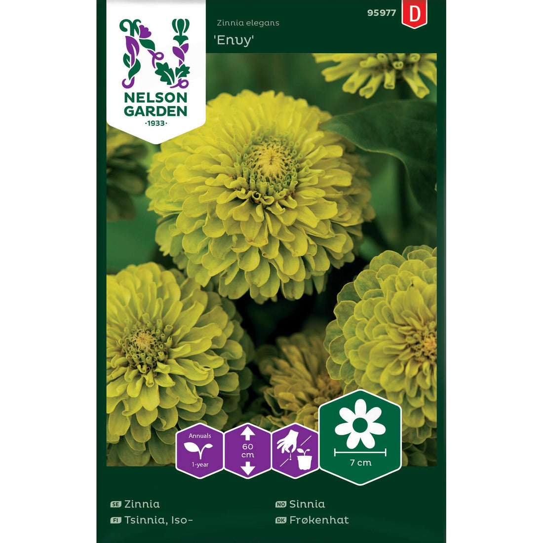 Zinnia Envy hög limegrön