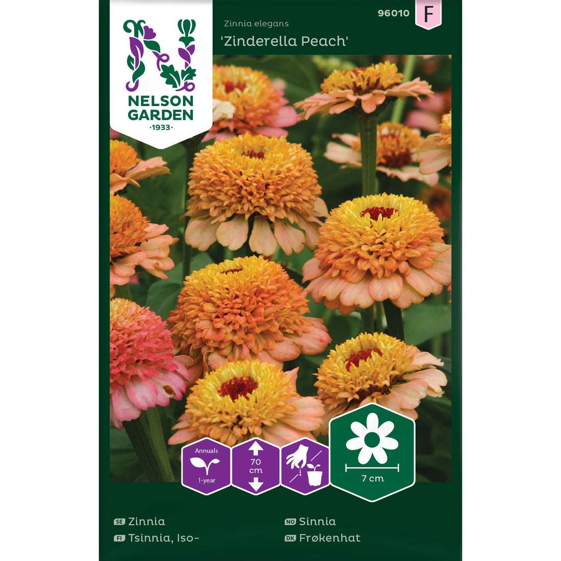 Zinnia Zinderella Peach