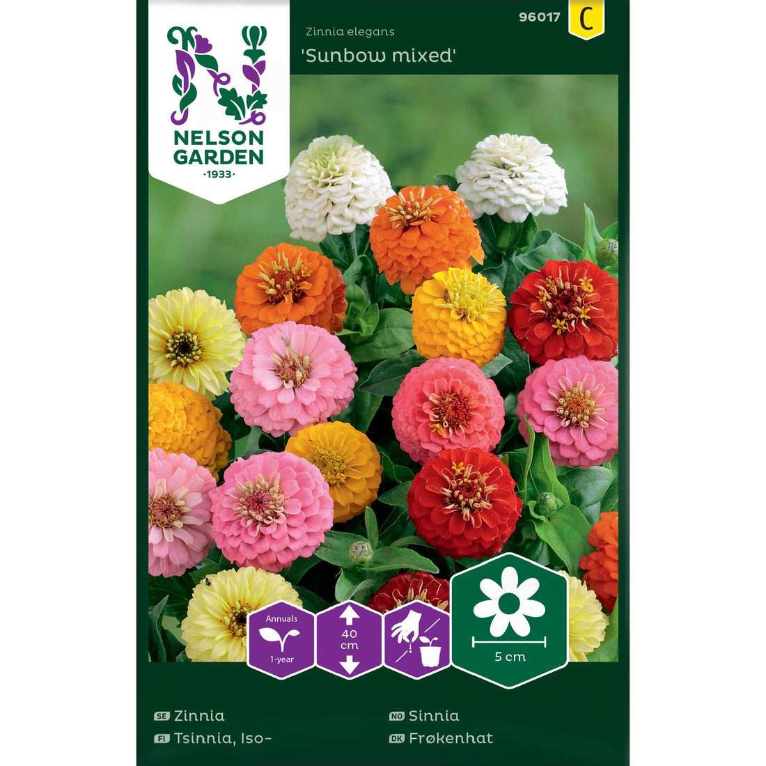 Zinnia Sunbow bl färger
