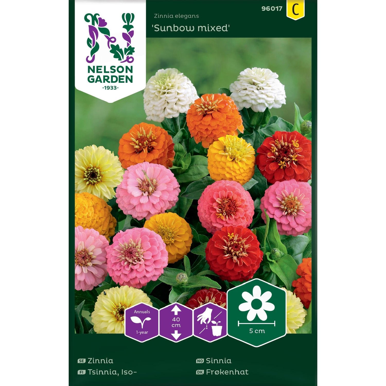 Zinnia Sunbow bl färger