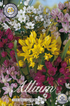 Allium Småblommig Mix 100-pack