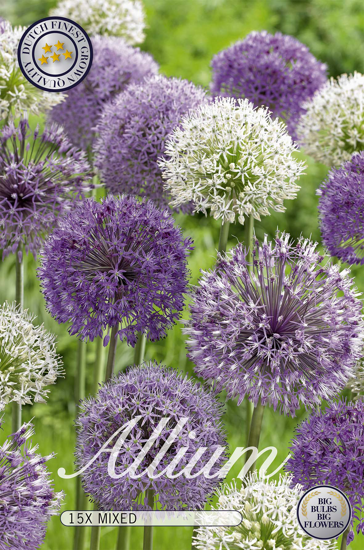 Allium Mix 15-pack
