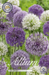 Allium Mix 15-pack
