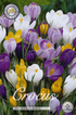 Krokus Mix 30-pack
