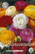 Ranunkel Asiatisk Mix 25-pack