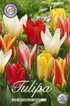 Tulpan Botanisk Mix 20-pack