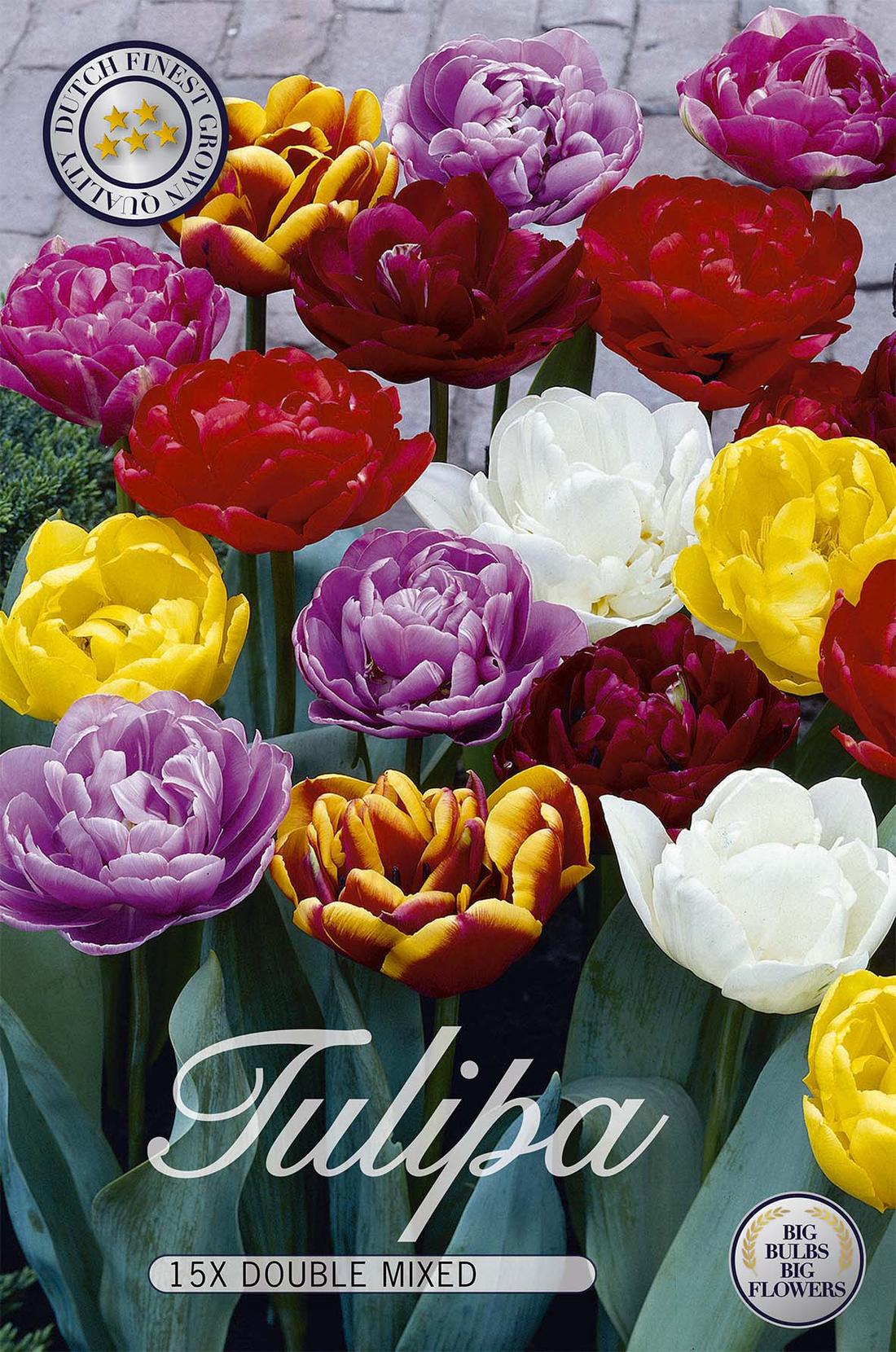 Tulpan Dubbel Mix 15-pack