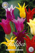 Tulpan Liljeblommande Mix 20-pack