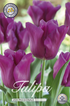 Tulpan Passionale 20-pack