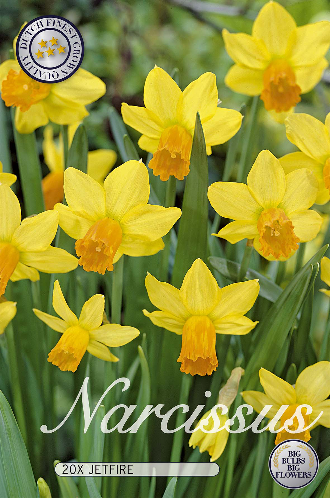 Narciss Jetfire 20-pack