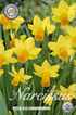 Narciss Jetfire 20-pack