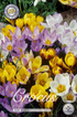 Krokus Botanisk Mix 50-pack