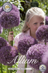 Allium Pinball Wizard 3-pack