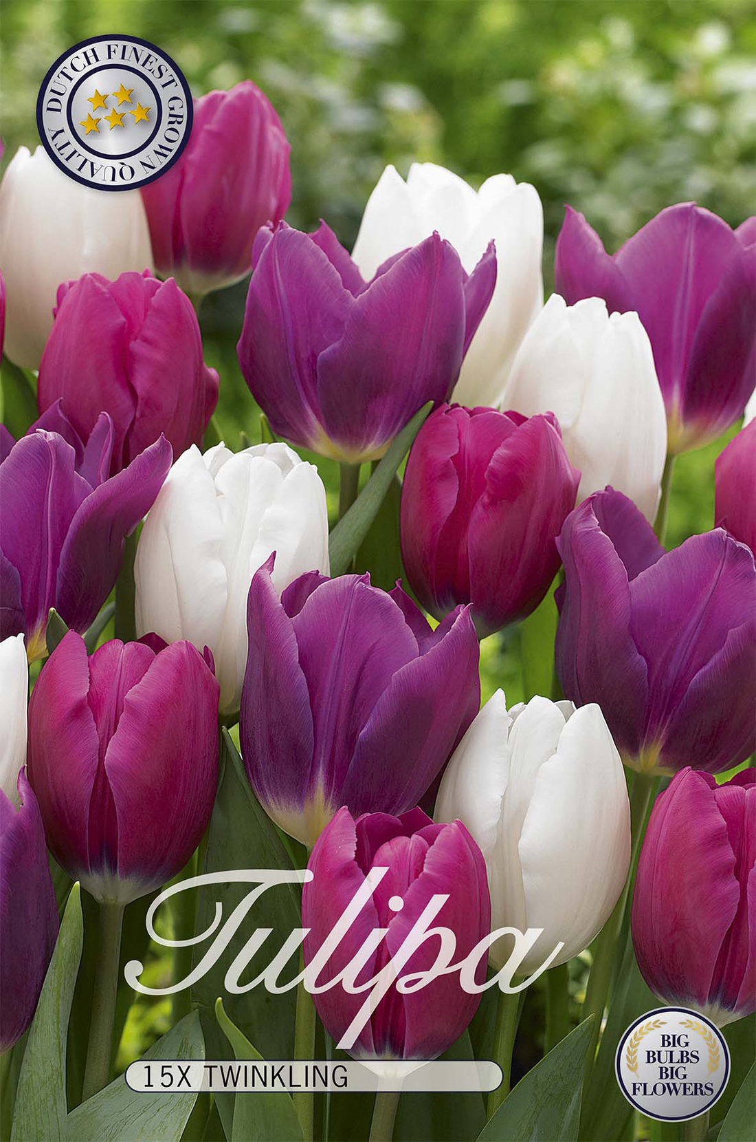 Tulpan Twinkling 15-pack