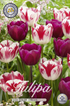 Tulpan Colour Circus 15-pack
