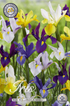 Iris Hollandica Mix 40-pack