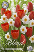 Tulpan/Narciss Bright Eyes 15-pack