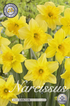 Narciss Carlton 15-pack