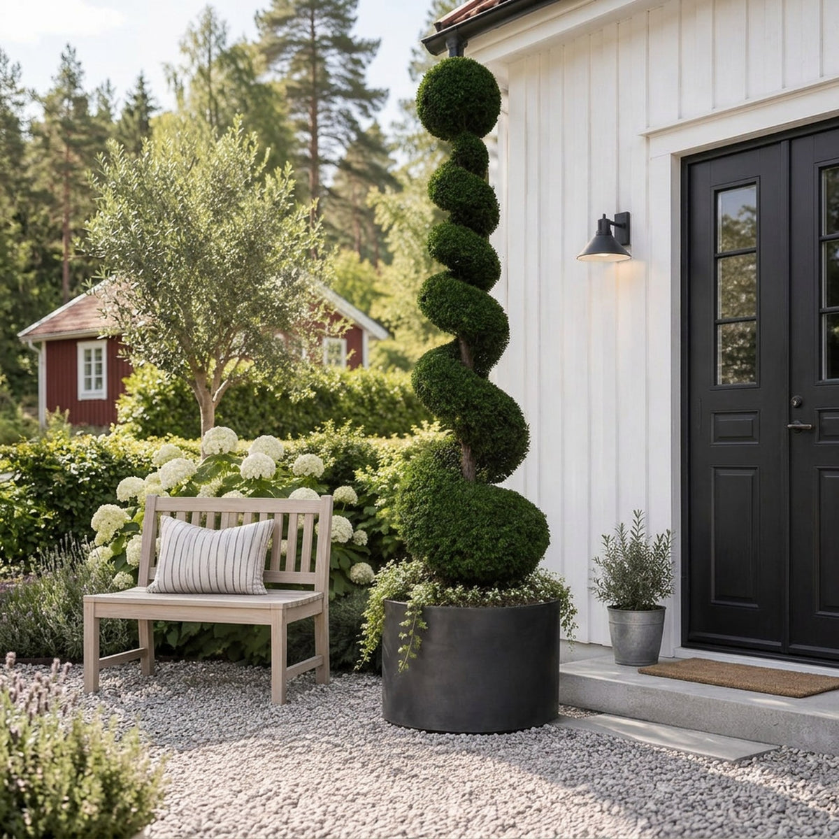 Taxus baccata Spiral 300–350 cm C500 (500 liters kruka)