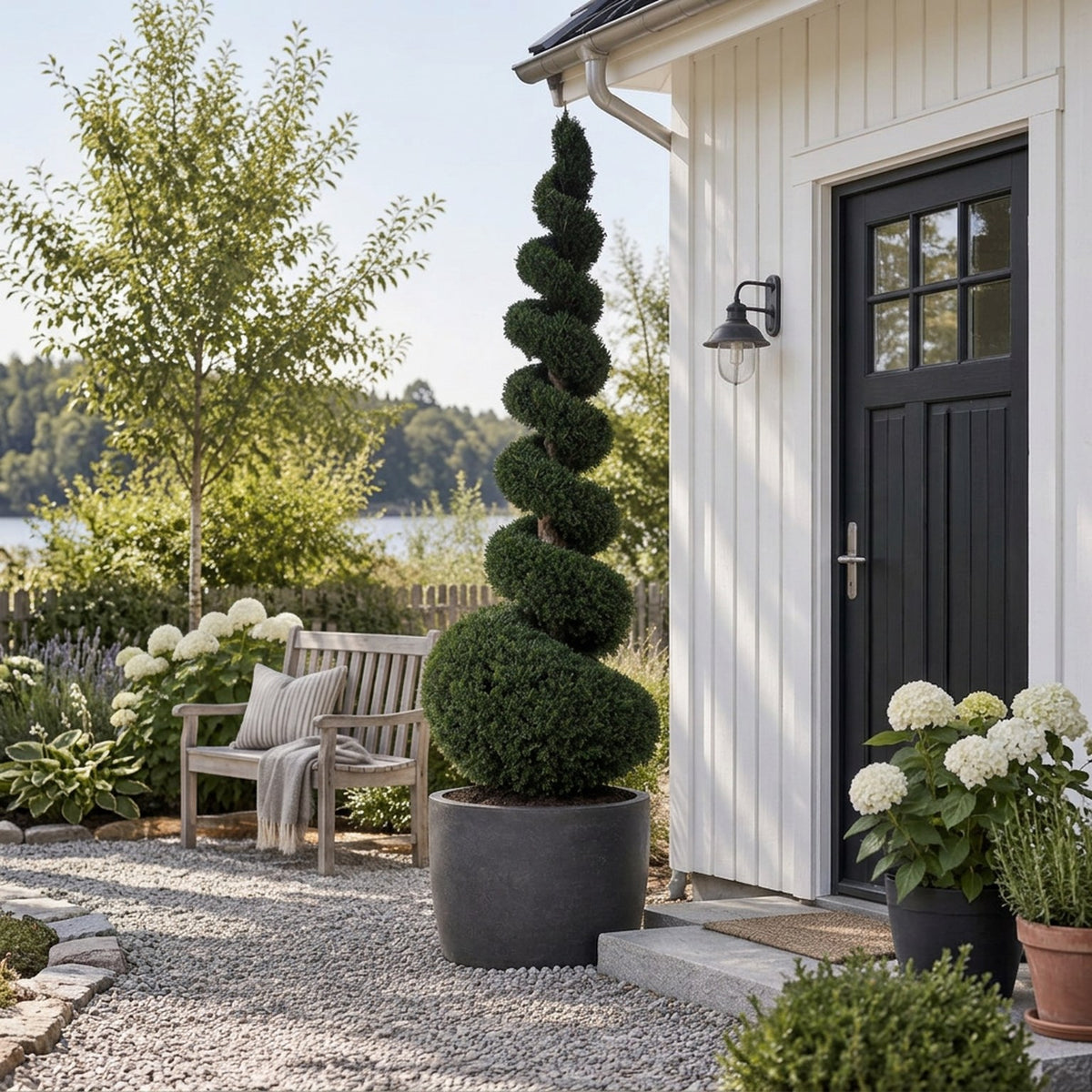 Taxus baccata Spiral 300–350 cm C500 (500 liters kruka)
